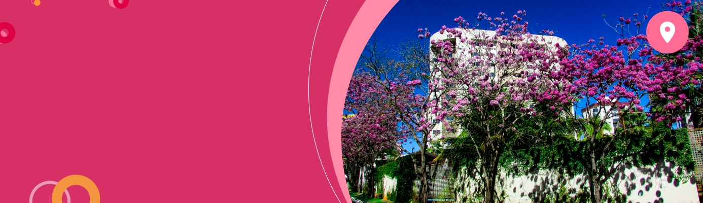 <h3><strong>Internet fibra, streaming e <br/>plano de celular em </strong></h3>