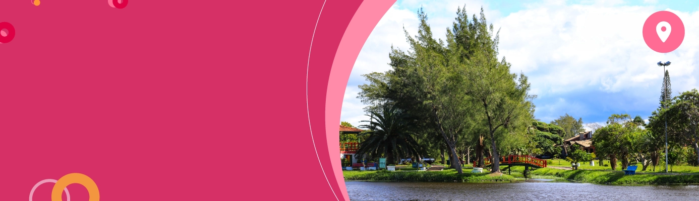 <h3><strong>Internet fibra, streaming e <br/>plano de celular em </strong></h3>